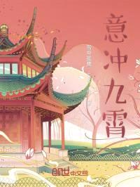 意冲九霄封面