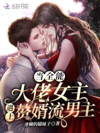 当全能大佬女主遇上赘婿流男主封面