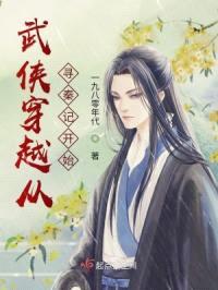 武侠穿越从寻秦记开始封面