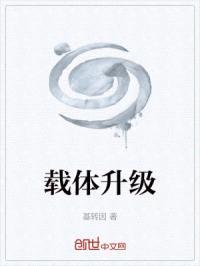 载体升级封面