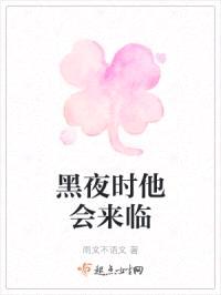 黑夜时他会来临封面