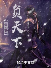 三国之负天下封面