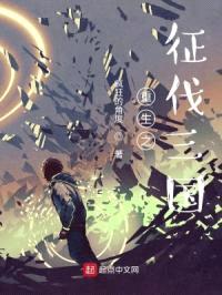 重生之征伐三国封面