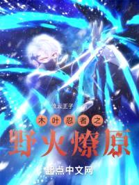 火影忍者之野火燎原封面