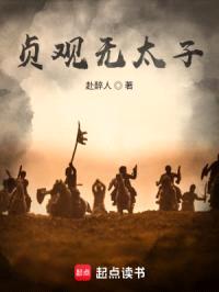 贞观无太子封面