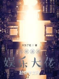 文娱之超级大亨封面