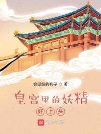 皇宫里的妖精好上头封面