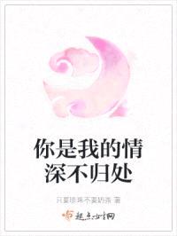 你是我的情深不归处封面