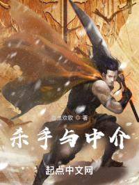 杀手与中介封面