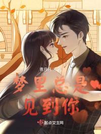 梦里总是见到你封面