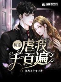 初恋，虐我千百遍封面