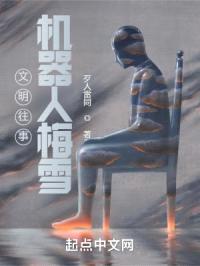 文明往事：机器人梅雪封面