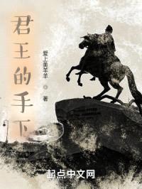 君王的手下封面