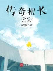 传奇机长：回归封面