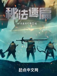 秘法师的遗留篇章封面