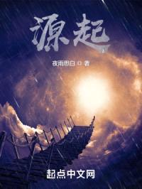 源起封面