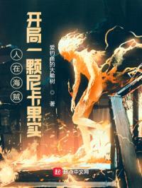 人在海贼，开局一颗尼卡果实封面