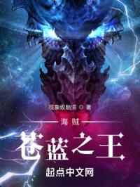 海贼之武术总指导封面