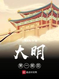 大明第一能臣封面