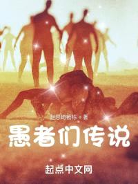 愚者们传说封面