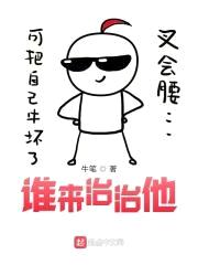 谁来治治他封面