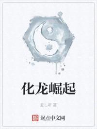 化龙崛起封面