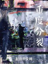 重度分裂封面