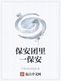 保安团里一保安封面
