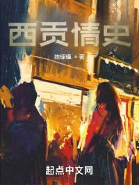 西贡情史封面