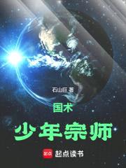 国术！少年宗师封面