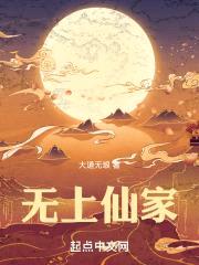 无上仙家封面