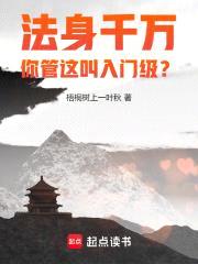 法身千万，你管这叫入门级？封面