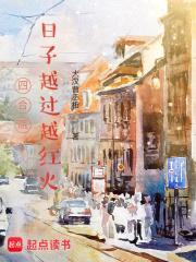 四合院：日子越过越红火封面