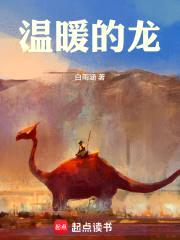 温暖的龙封面