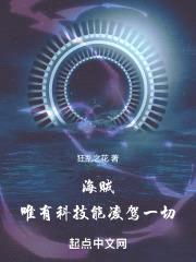 海贼：唯有科技能凌驾一切封面