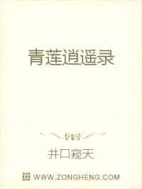 青莲逍遥录封面